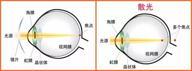 BOB半岛·体育在线登录【中国焦点面对面】巴黎奥运之后中国体育路向何方？